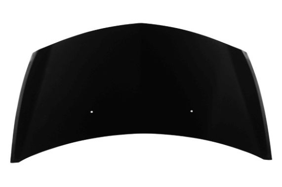 Kryt Motoru Loro Renault Clio 06/05-04/09