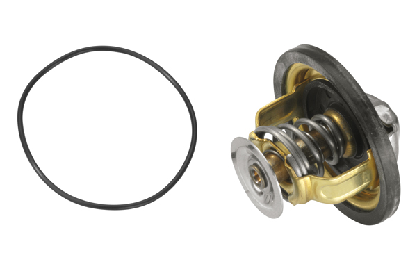 WAHLER 41749d ТЕРМОСТАТ FIAT DUCATO 2td