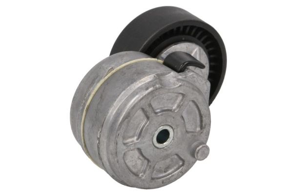 Napínač Vícedrážkového Řemene Je Vhodný Pro: Iveco Daily III, Rvi Mascott,