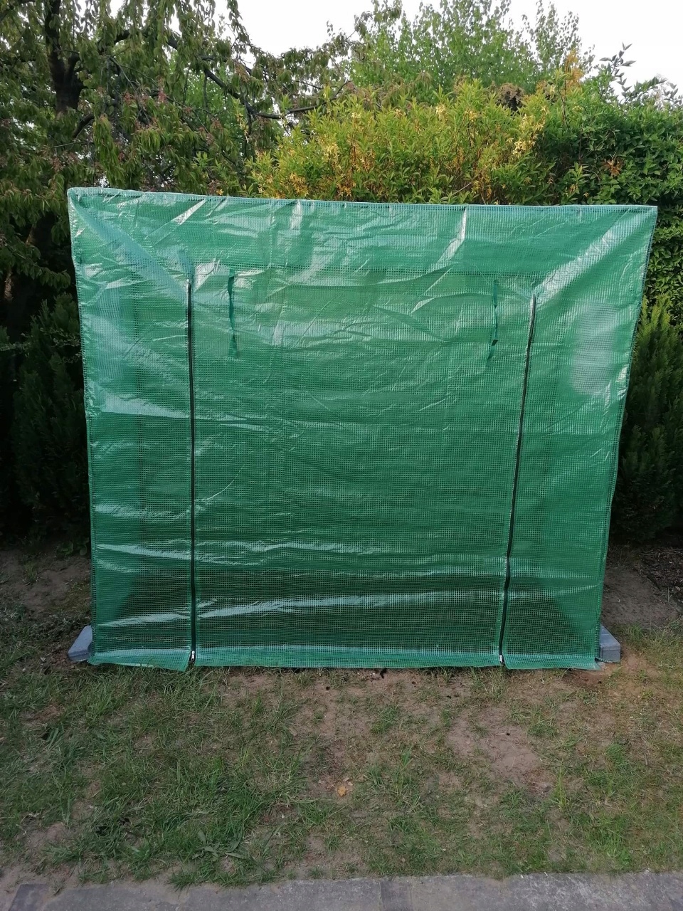 Zdjęcie dodane przez użytkownika