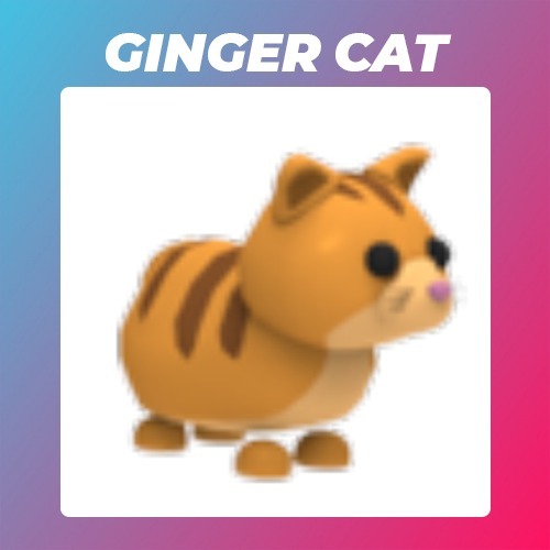 Roblox Adopt Me Ginger Cat CzechowiceDziedzice Kup teraz na