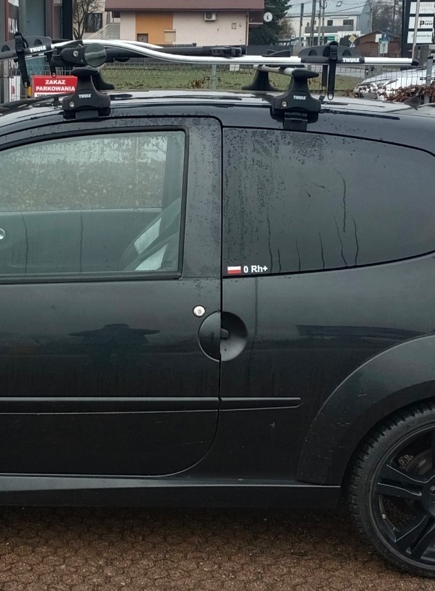 НАБІР 1467 TWINGO 2 THULE АКЦІЯ 
