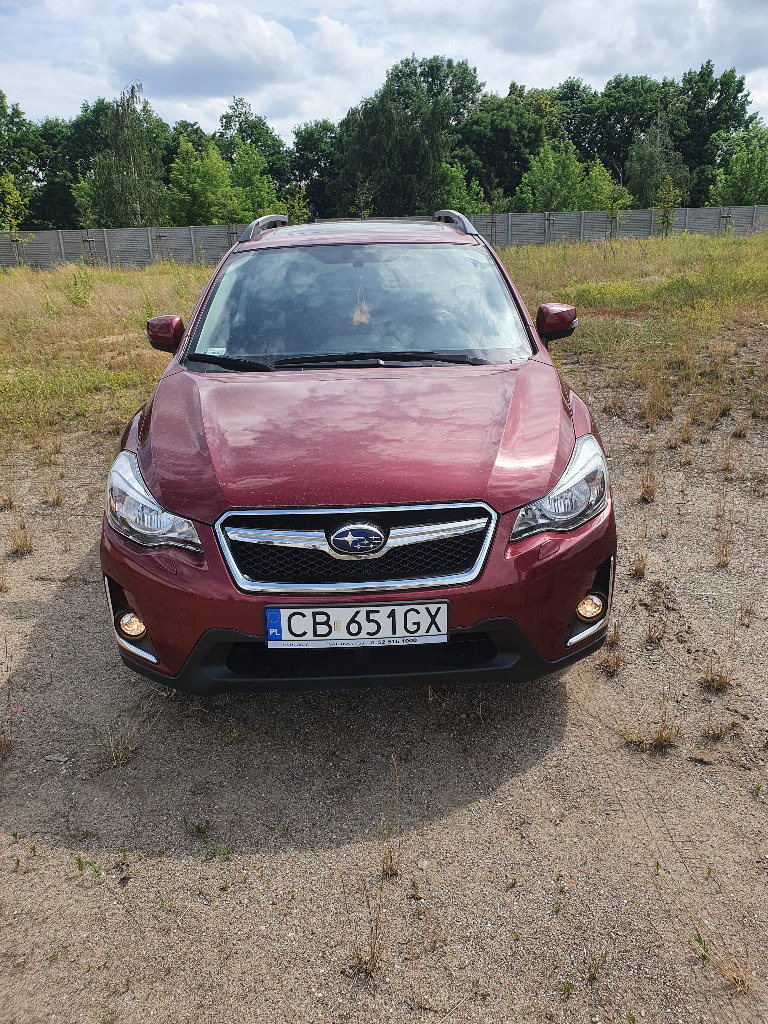 SUBARU XV Bydgoszcz Ogłoszenie na Allegro Lokalnie