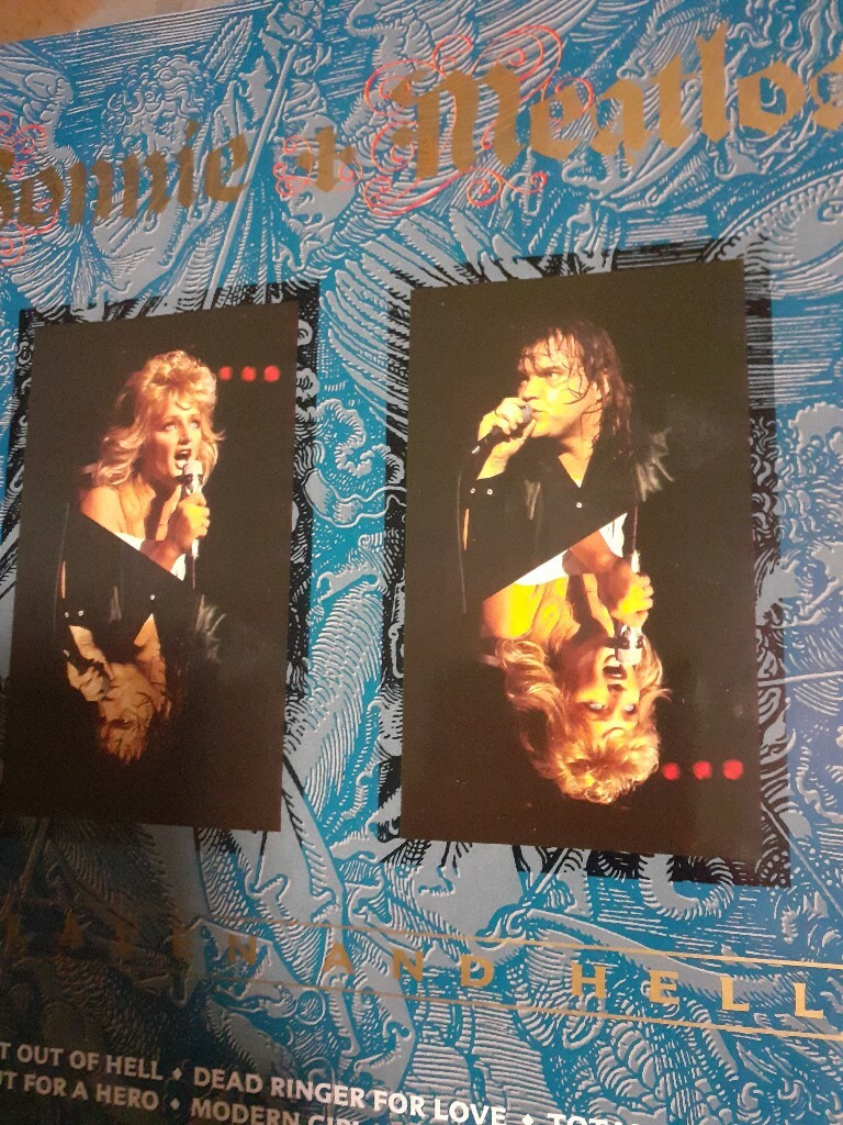 Płyty winylowe BONNIE TYLER & MEATLOAF Gniezno Licytacja na Allegro