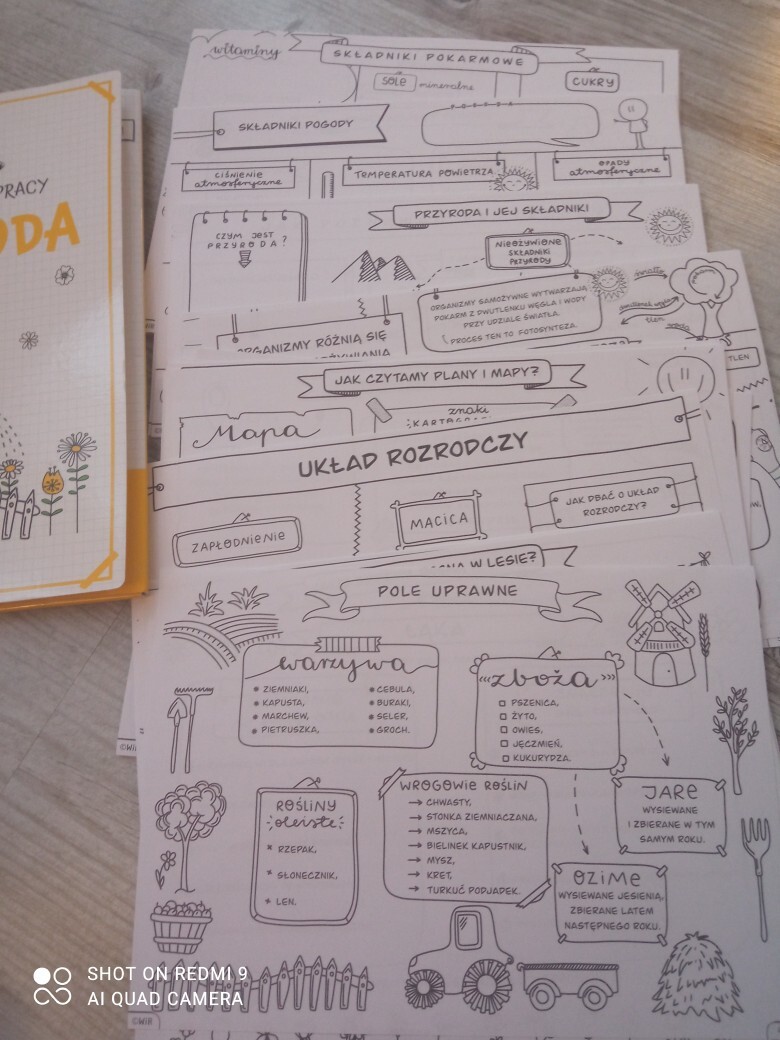 Karty Pracy Przyroda Klasa 4 Do Druku