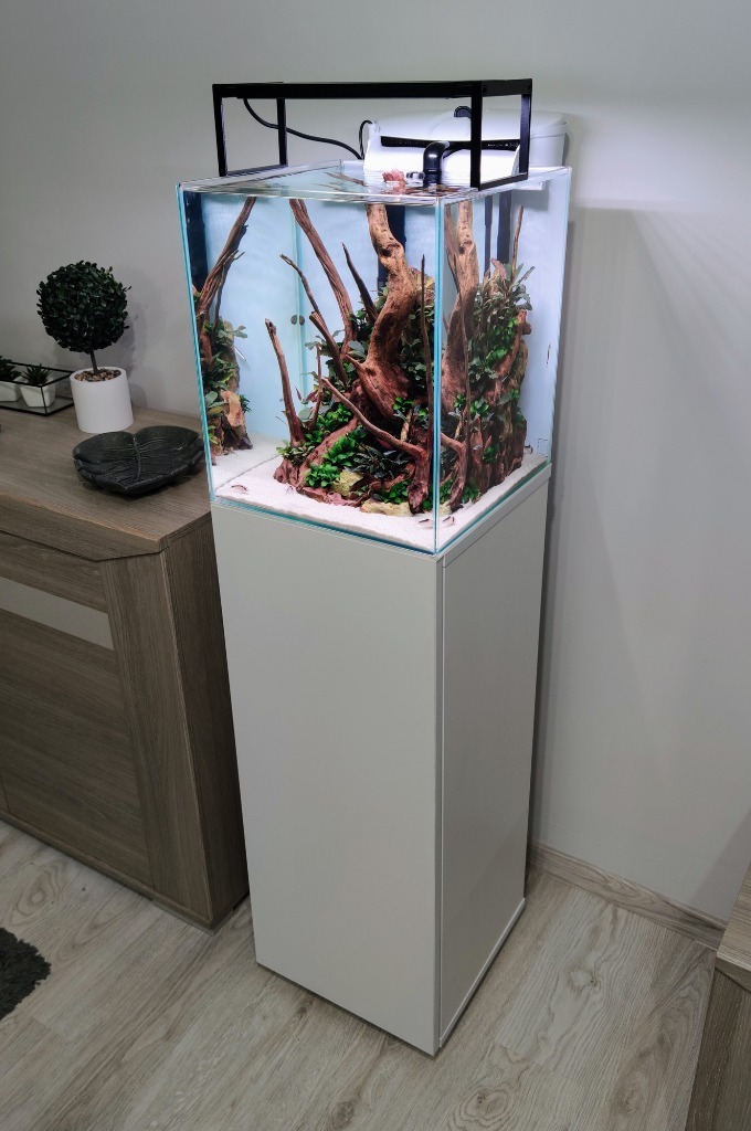 Zdjęcie oferty: Akwarium Aquael Shrimp Set Duo 49L Biały + Szafka