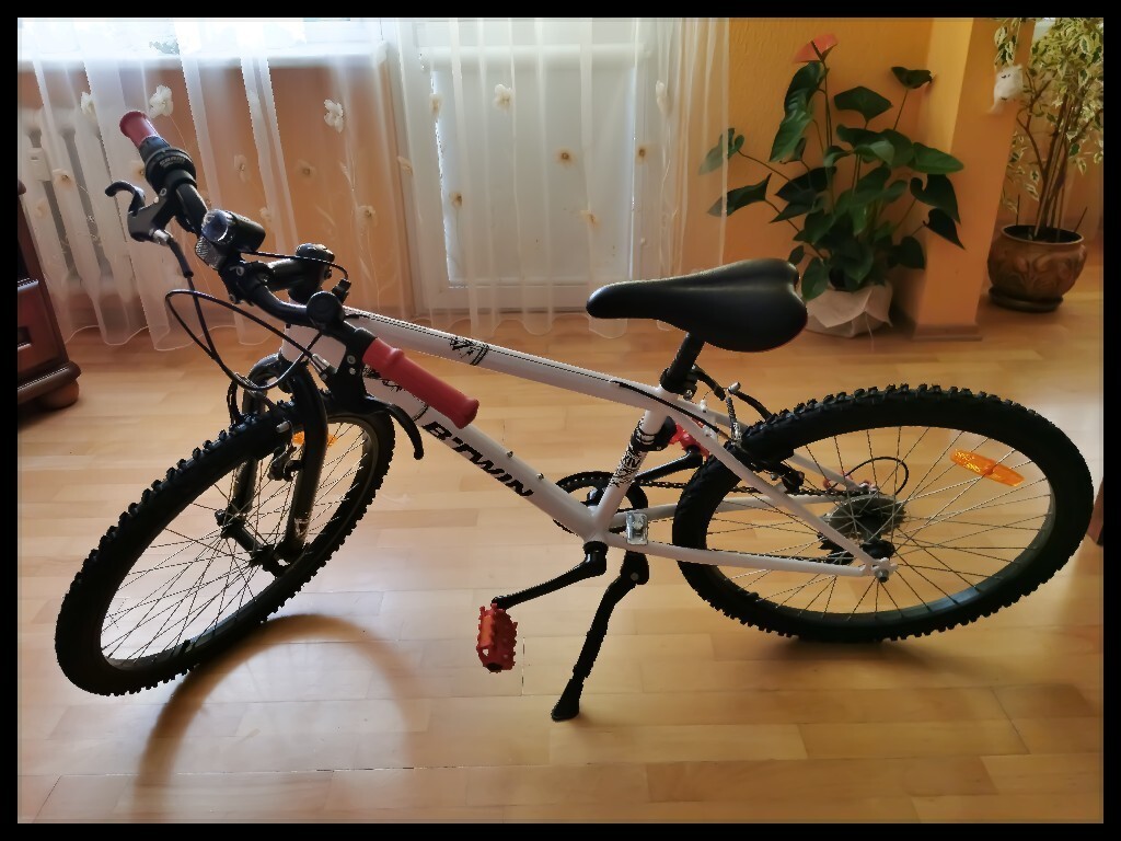 between rockrider 300