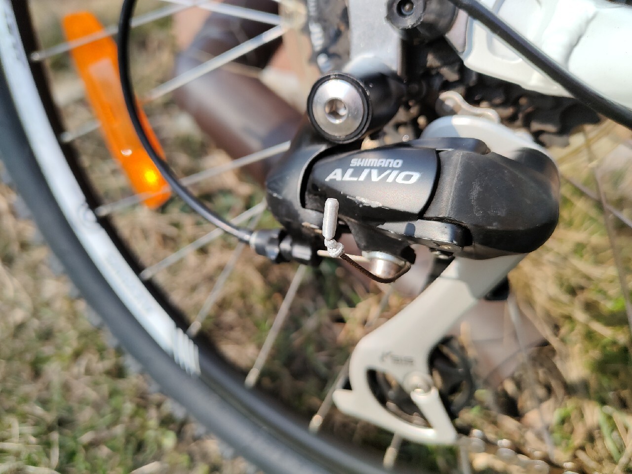 merida juliet redwood 24