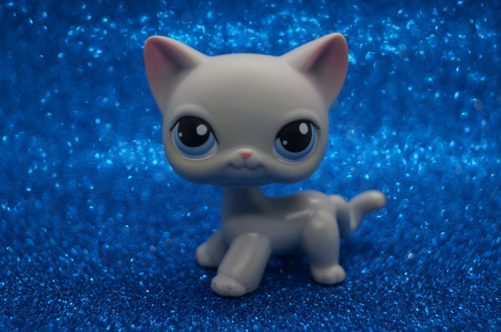 Lps shorthair w Figurki Zabawki Allegro Lokalnie