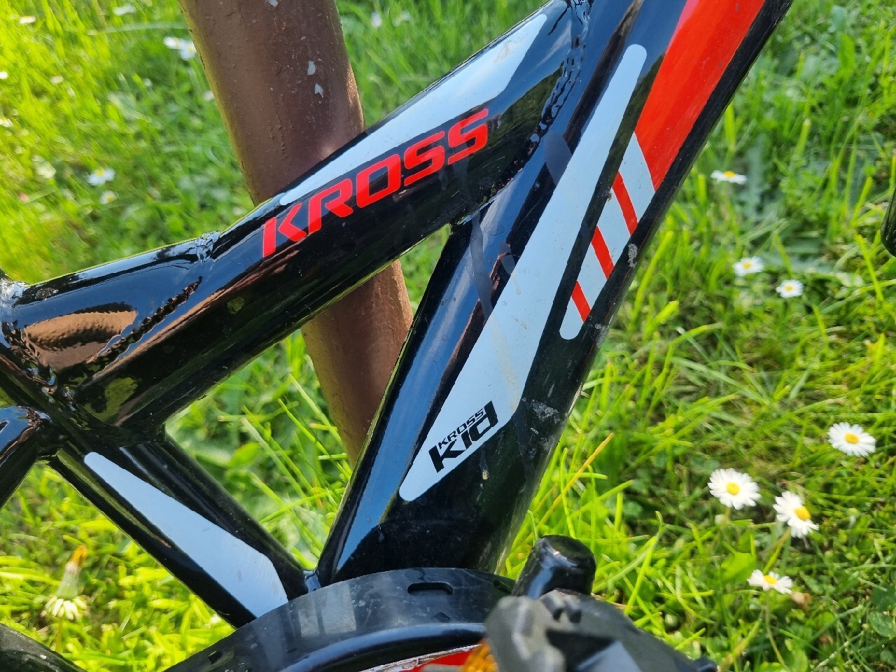 Rower dziecięcy Kross Leo "16" Łaziska Górne Kup teraz na Allegro