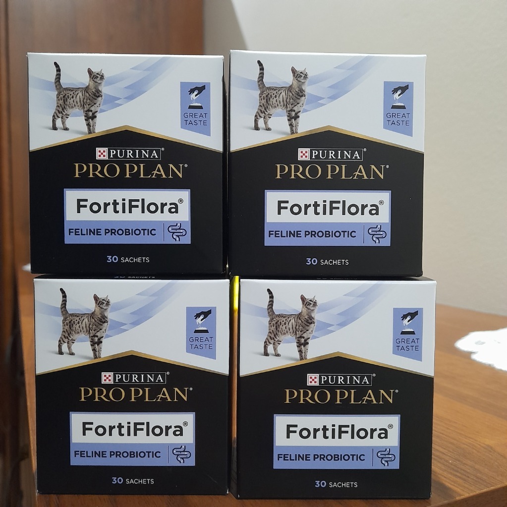 Fortiflora Purina probiotyk dla kota 120 saszetek | Kętrzyn | Kup teraz ...