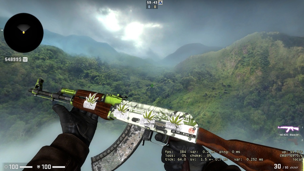 AK47 HYDROPONIKA SKIN CSGO WW +DRUG WAR STICKERS Tłuszcz Kup