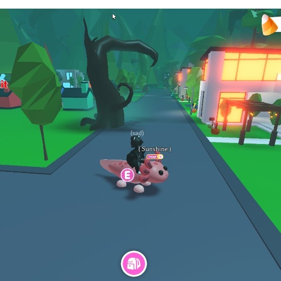 Axolotl Akselot Fly Ride adopt me pet Fullgrown Tłuszcz Kup teraz