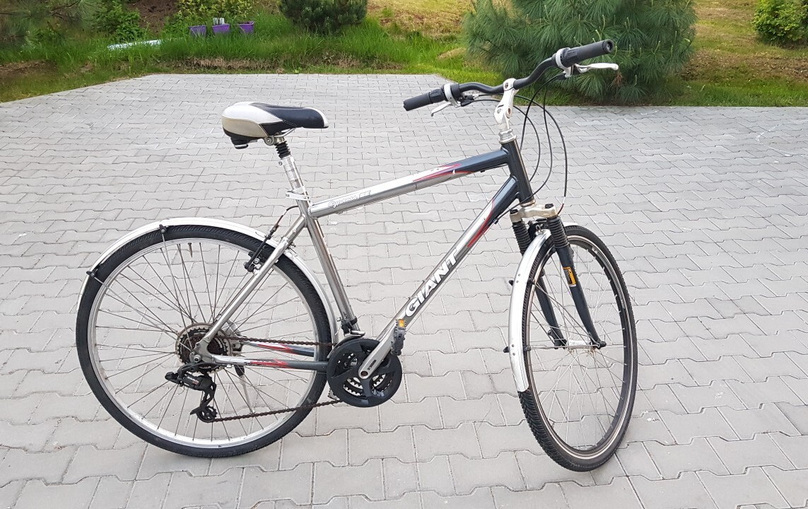 Giant cypress se cheap
