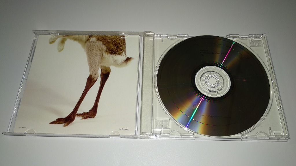 SIMIAN CHEMISTRY IS WHAT WE ARE Radzyń Podlaski Licytacja na