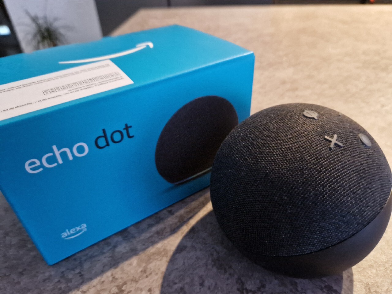 Amazon Alexa w Inteligentny dom systemy dom w inteligentnych