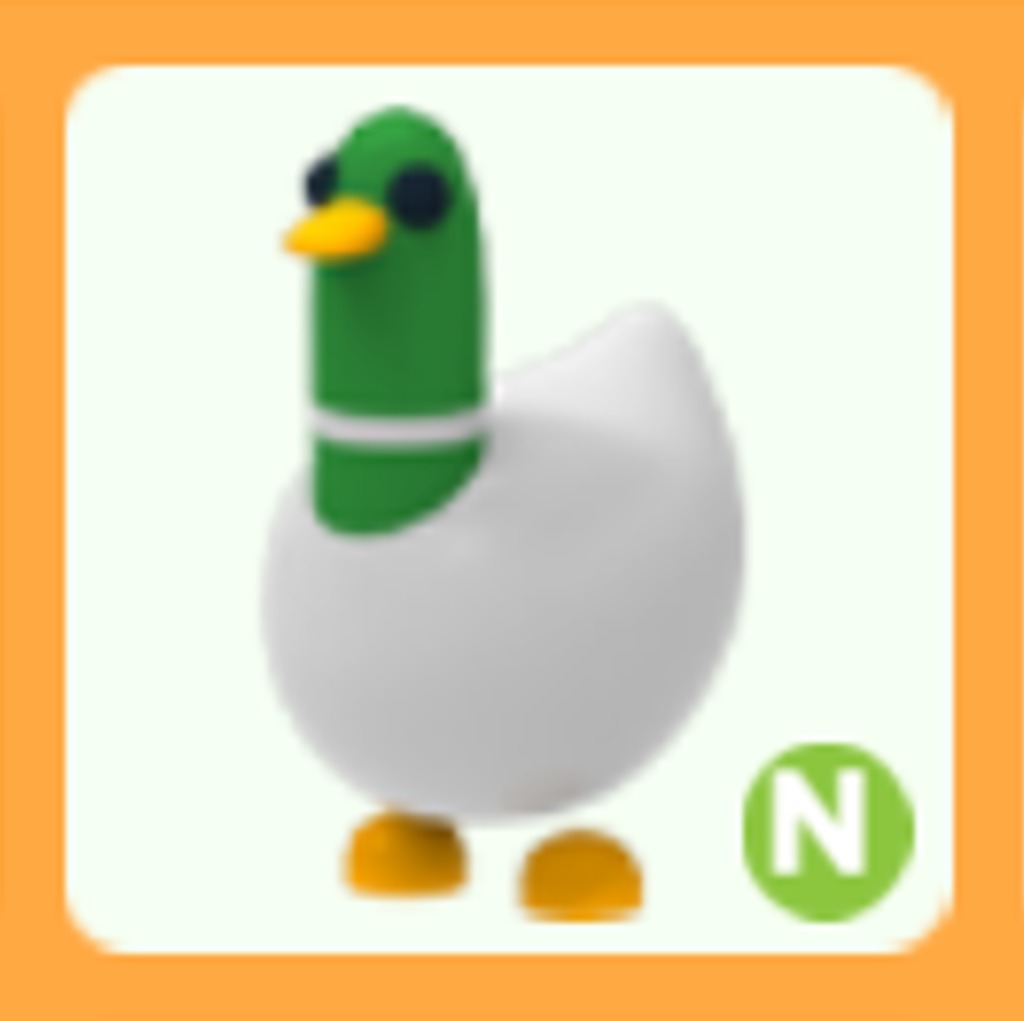 Adopt Me Silly Duck Roblox Lazada Indonesia - vrogue.co