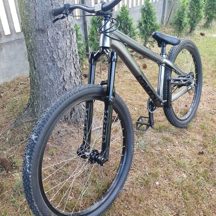 ns bike on train