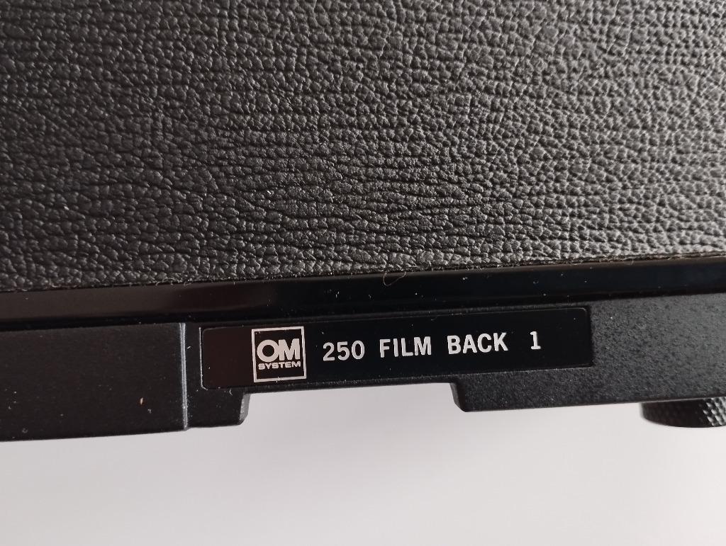 Zdjęcie oferty: Olympus 250 film back