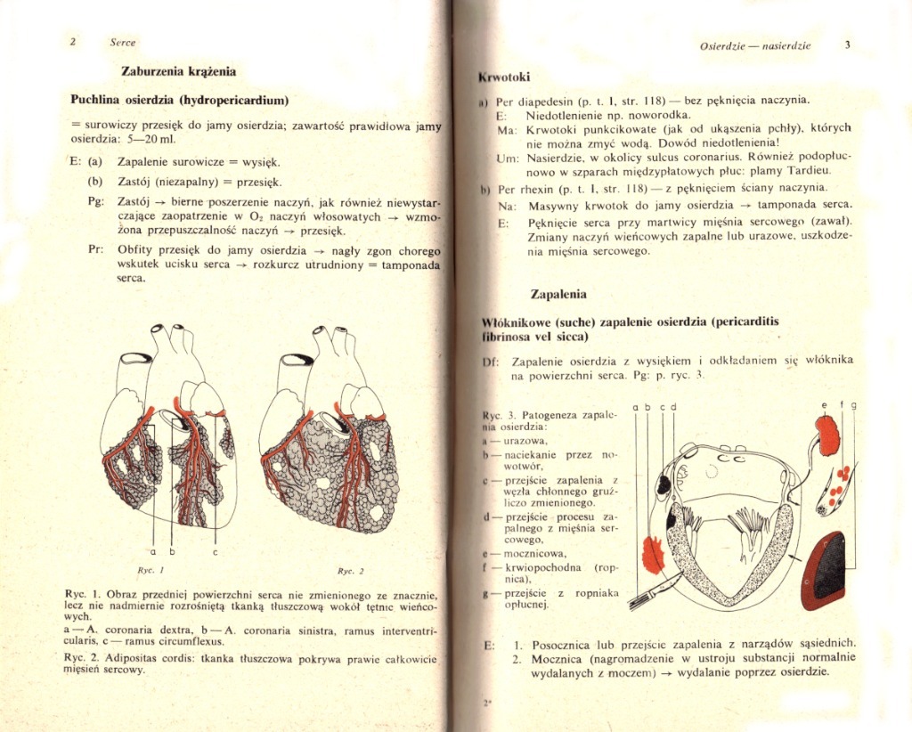 Anatomia patologiczna Hans Ulrich Zollinger Garwolin Kup teraz na