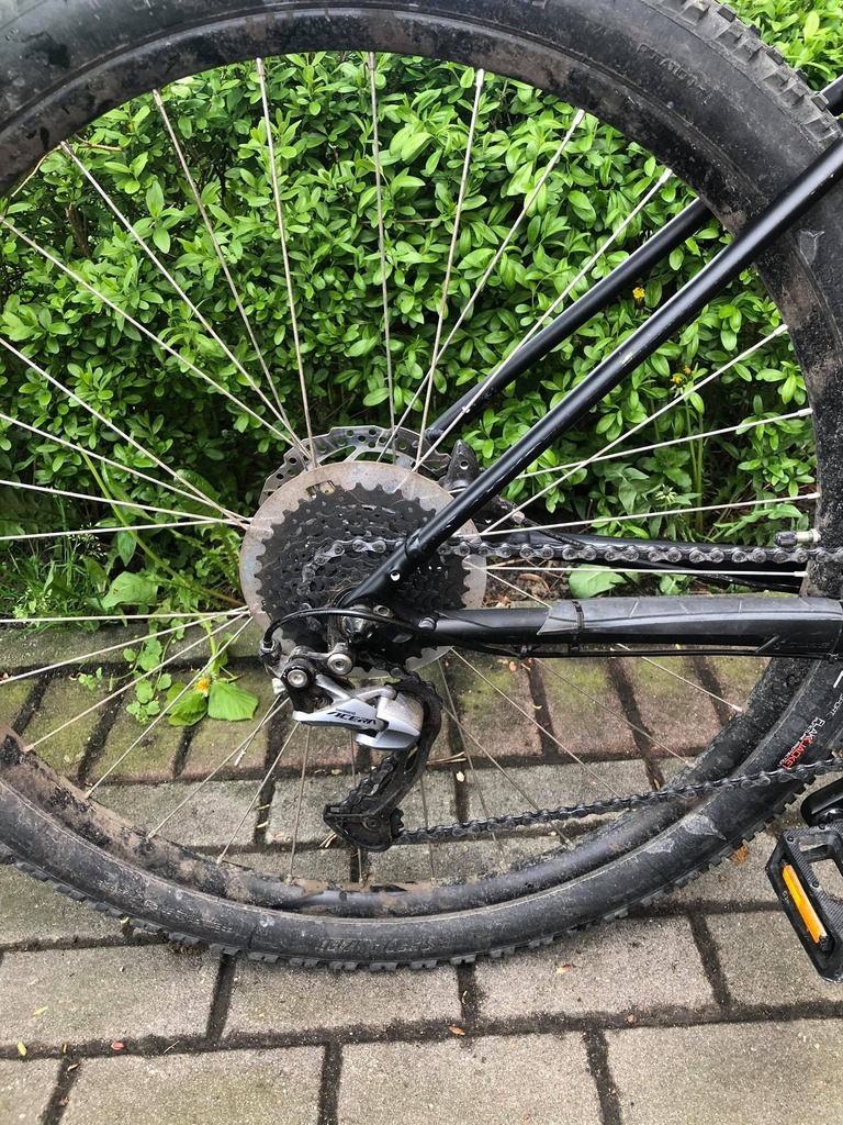 2019 rockhopper comp