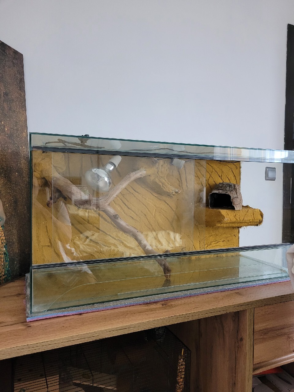 Terrarium dla agamy/wąża/jaszczurki/gekona Warszawa Kup teraz na