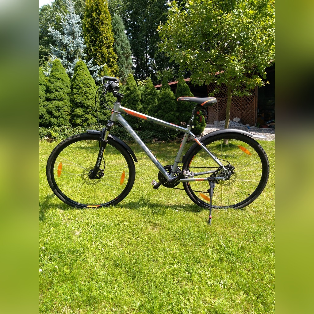 kelly fisher mountain bikes