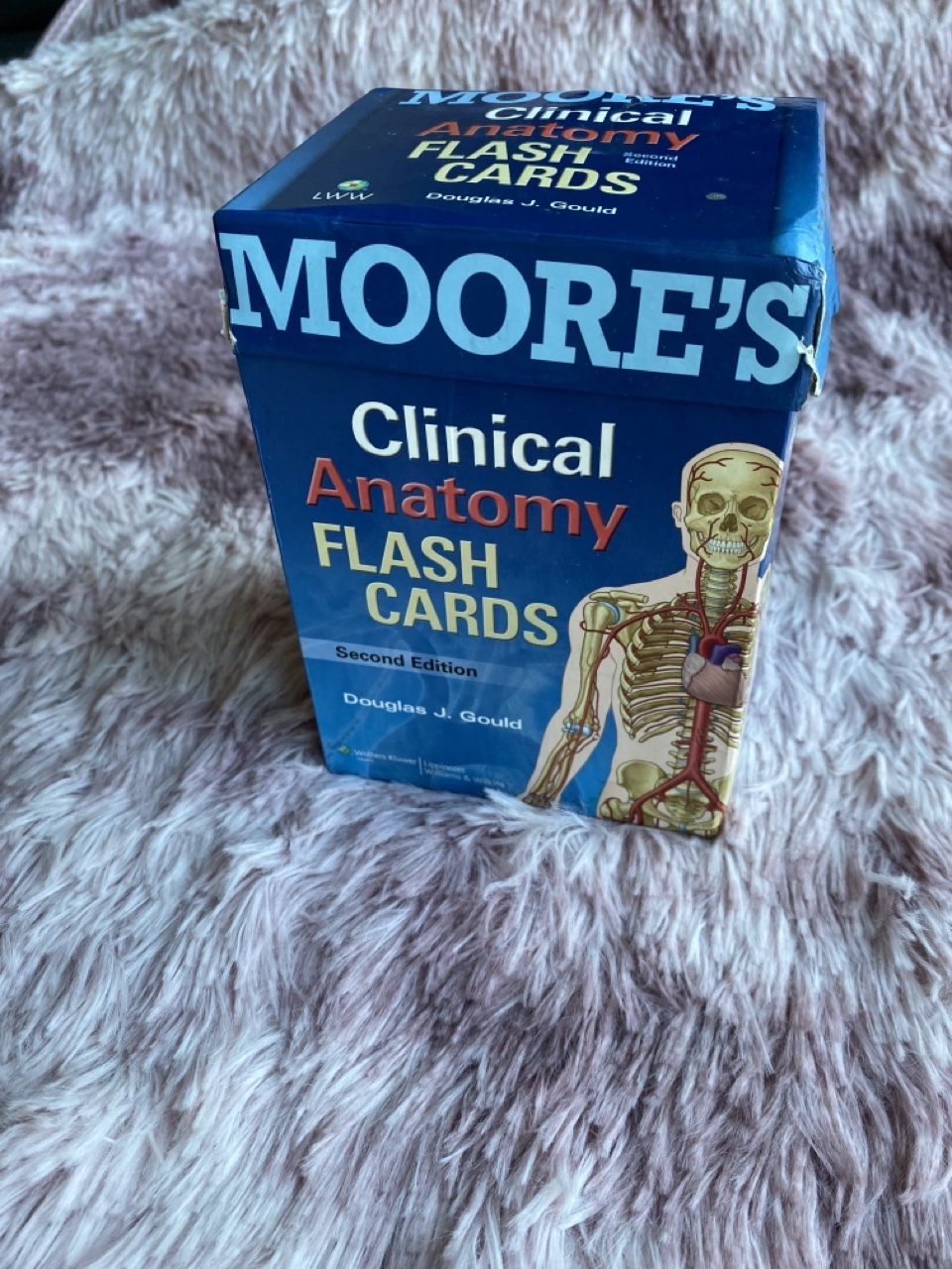 Moore’s Clinical Anatomy Flash cards Kraków Kup teraz na Allegro