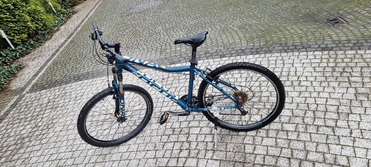 Rower Focus damski Leśna Kup teraz na Allegro Lokalnie