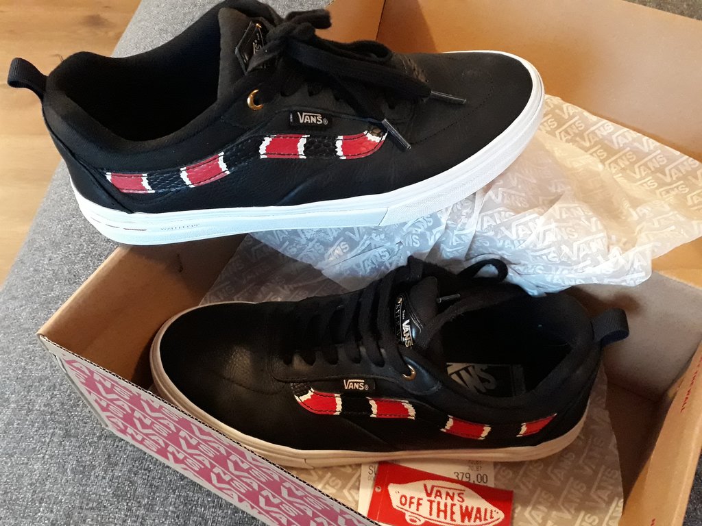 coral snake vans