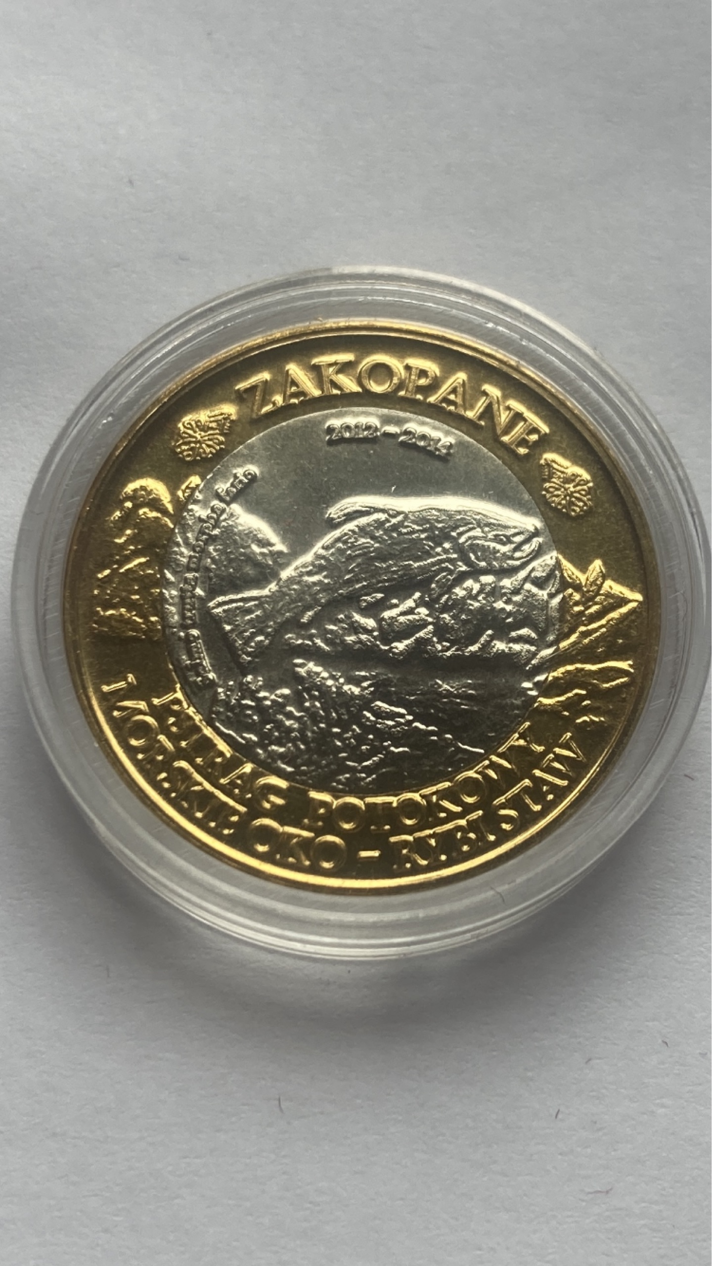 12 Tuzin Dutków zakopiańskich „Pstrąg potokowy” Zielonki Wieś Kup