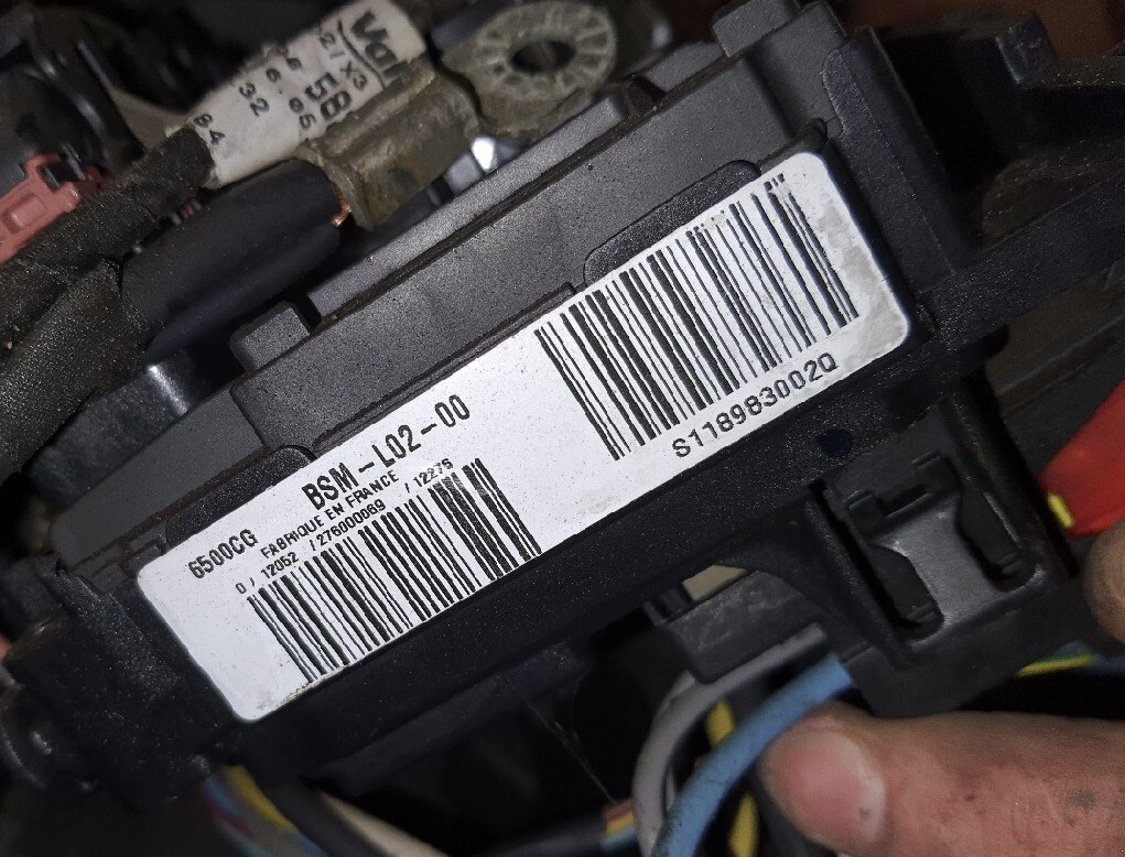 Modul BSM L02-00 peugeot citroen | Zduńska Wola | Kup teraz na Allegro ...