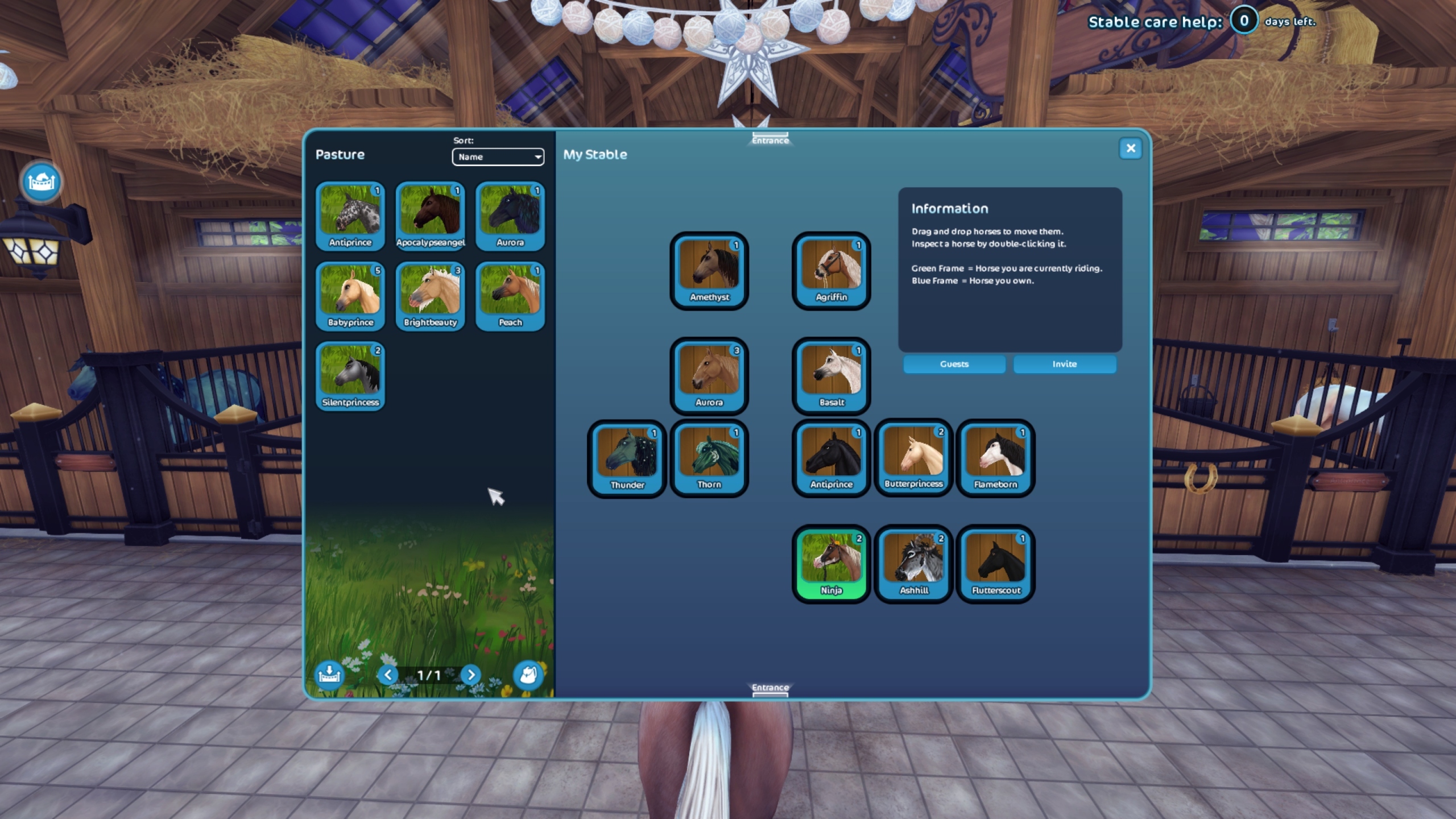 Konto Star Stable Online | Grzybiany | Kup teraz na Allegro Lokalnie