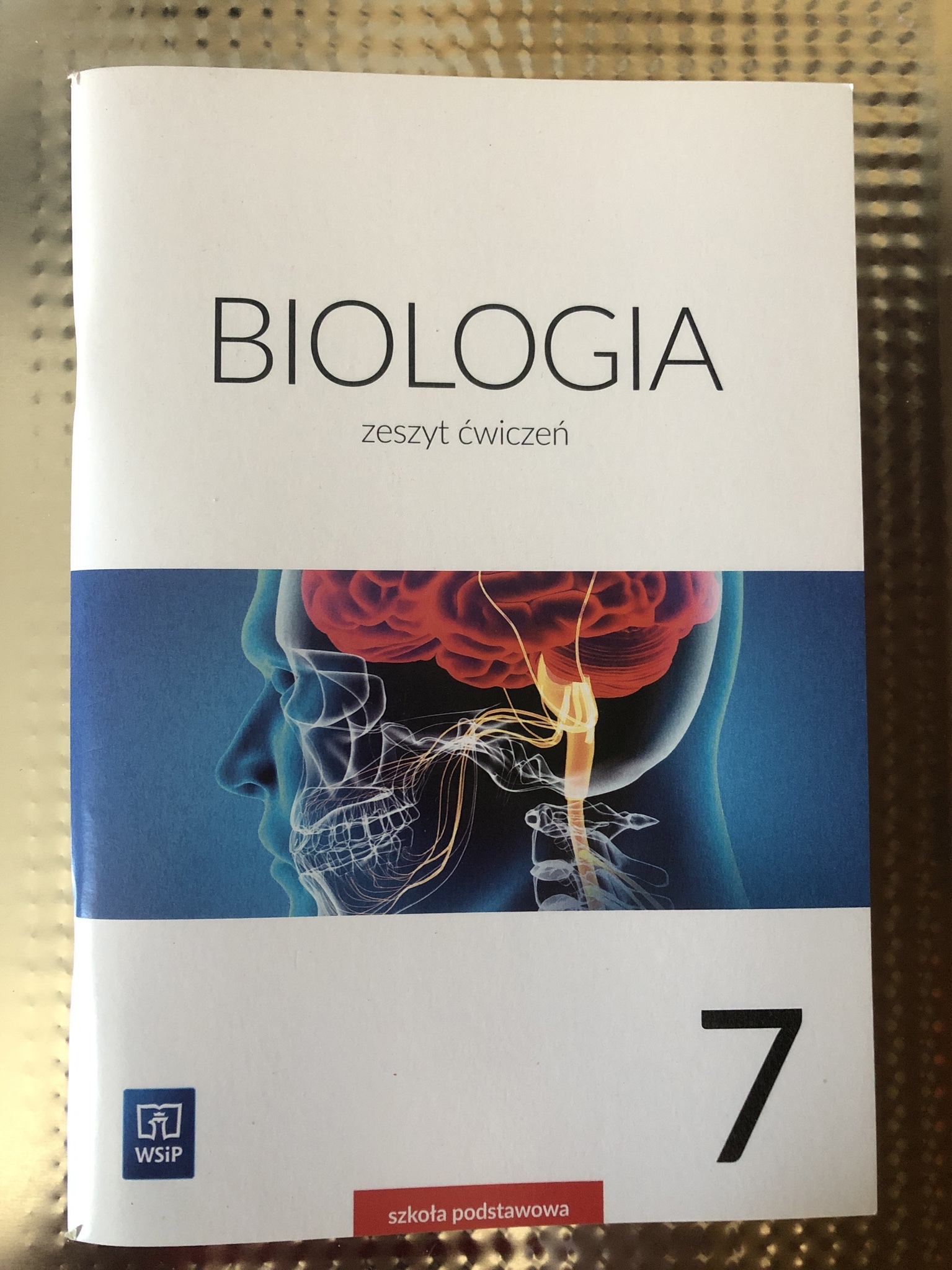 Biologia Klasa 7 Wsip Zeszyt ćwiczeń