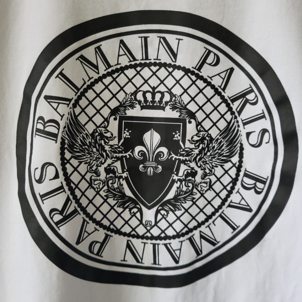 Zdjęcie oferty: T-shirt męski Balmain Paris S