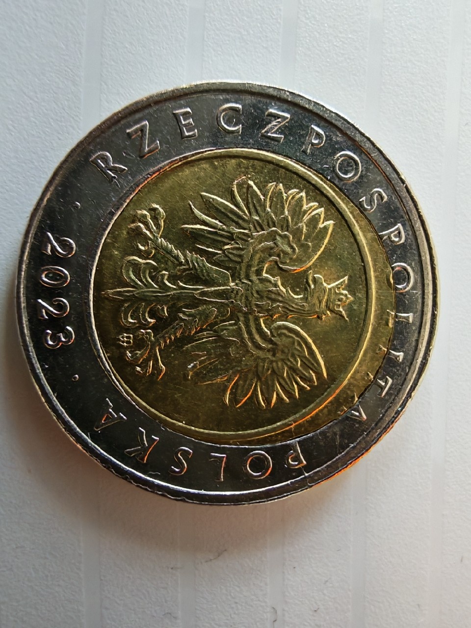 Destrukt menniczy 5zl | Glinojeck | Licytacja na Allegro Lokalnie