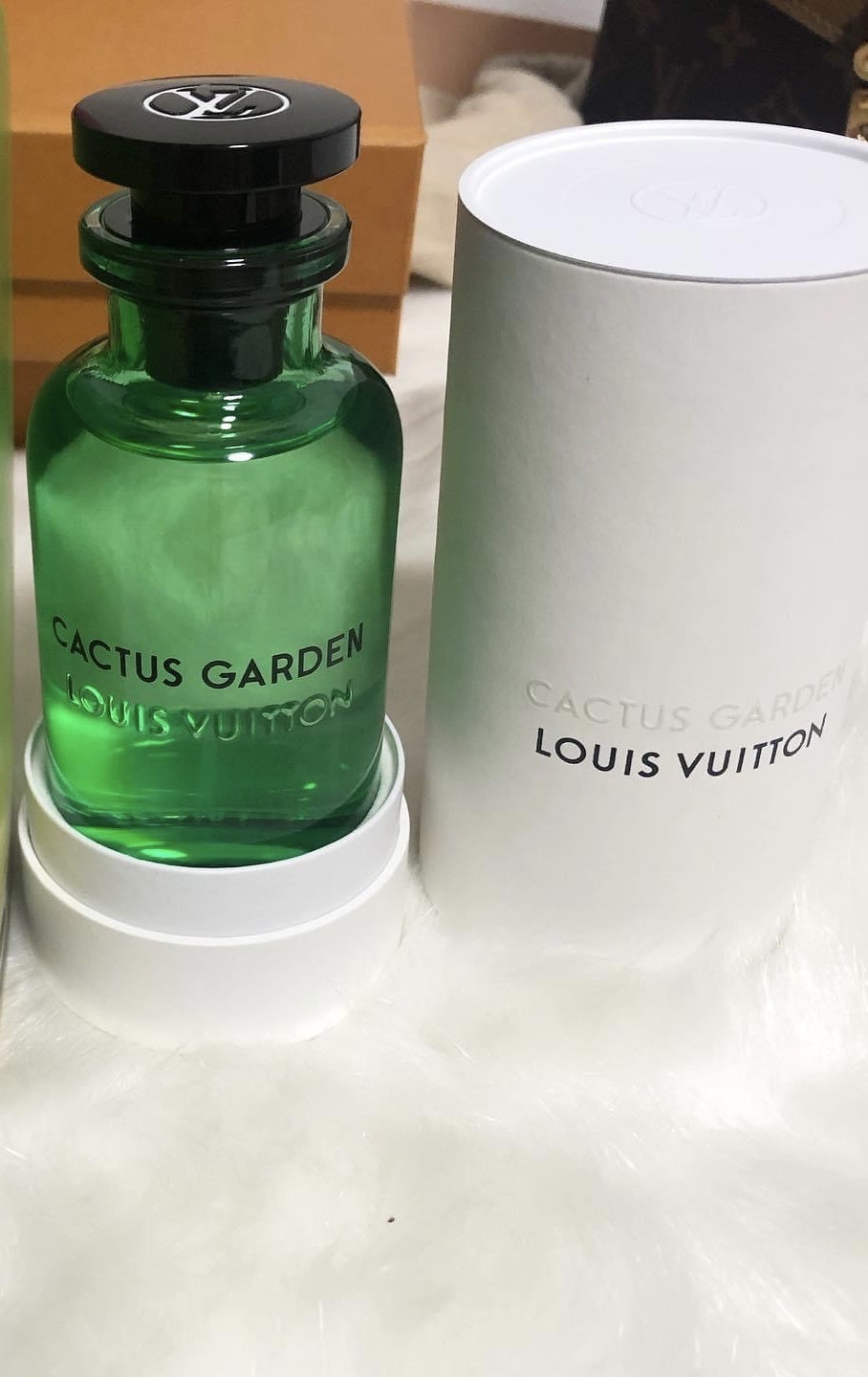 Louis Vuitton Cactus Garden Warszawa Kup teraz na Allegro Lokalnie