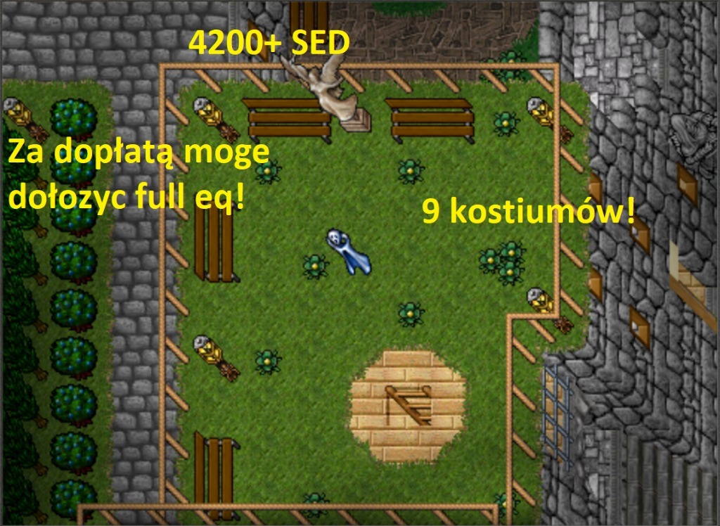 4200-sed-full-eq-druid-armia-podkarpacki-ots-rzesz-w-kup-teraz-na-allegro-lokalnie
