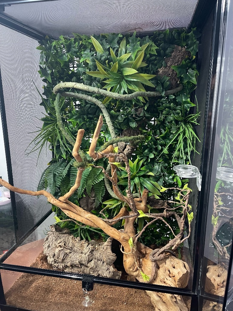 ReptiZoo Terrarium 60x45x90 Kompletny Zestaw Będzin Kup teraz na