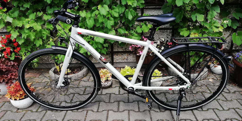 raleigh urban nightflight