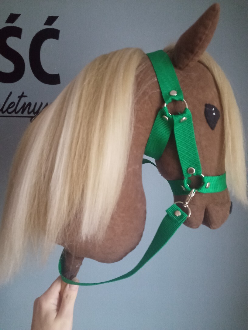 Hobby horse konik na kijku Olsztyn Kup teraz na Allegro Lokalnie