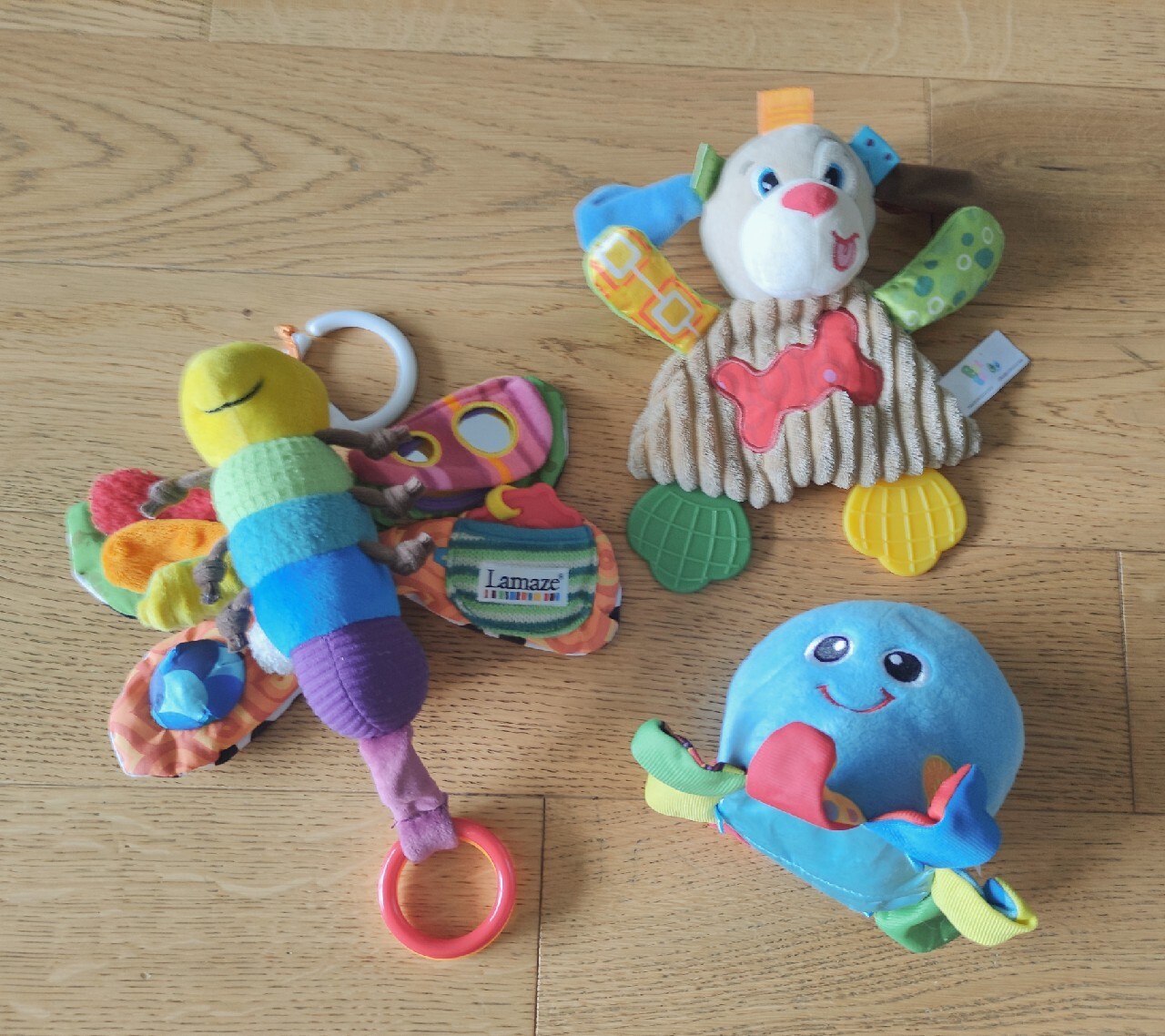 Zabawek sensorycznych: motyl osmiornica i latający pies | Warszawa ...