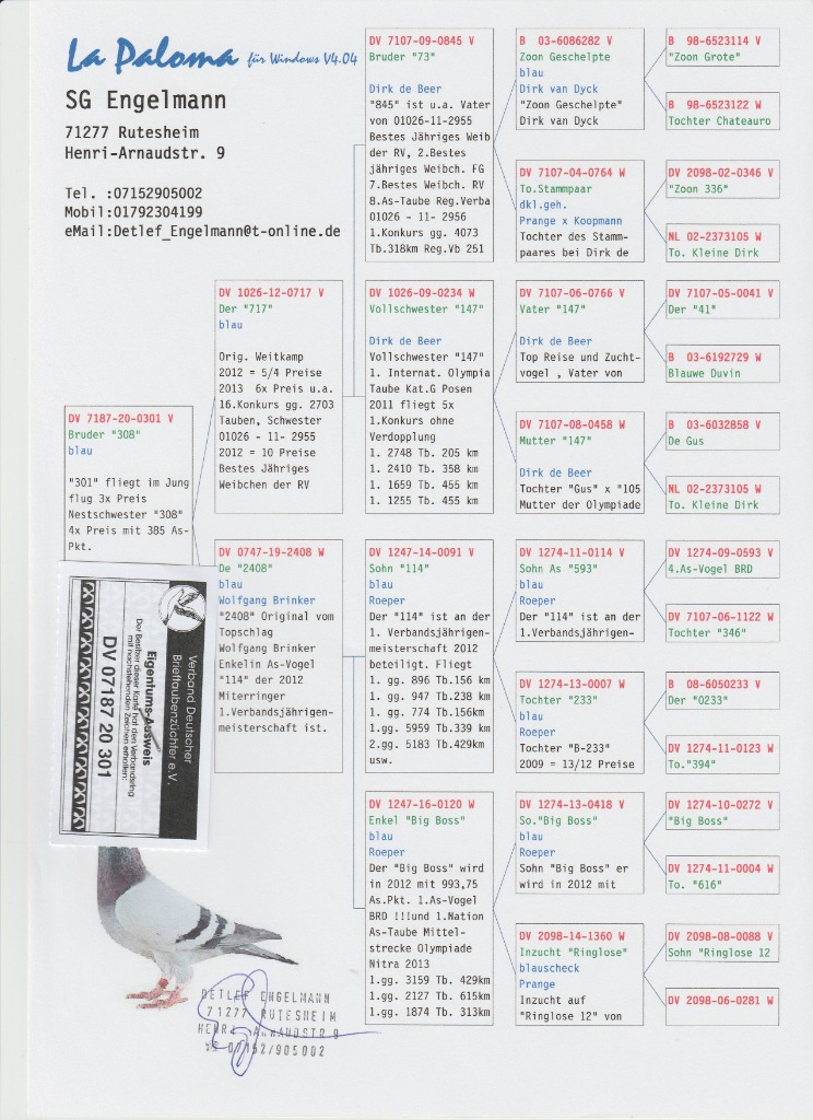 Samiec Top Weitkamp X Roper Cena 400 00 Zl Minikowo Allegro Lokalnie