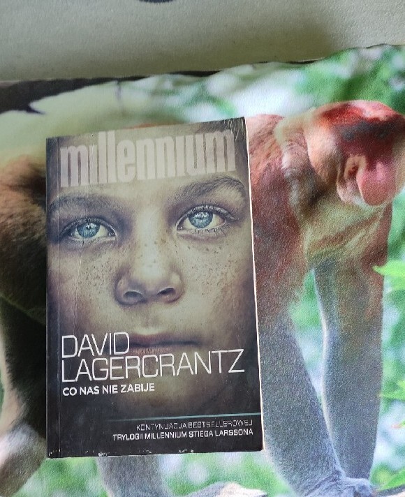 Lagercrantz David "Millenium" 2015, Krosno Kup teraz na Allegro