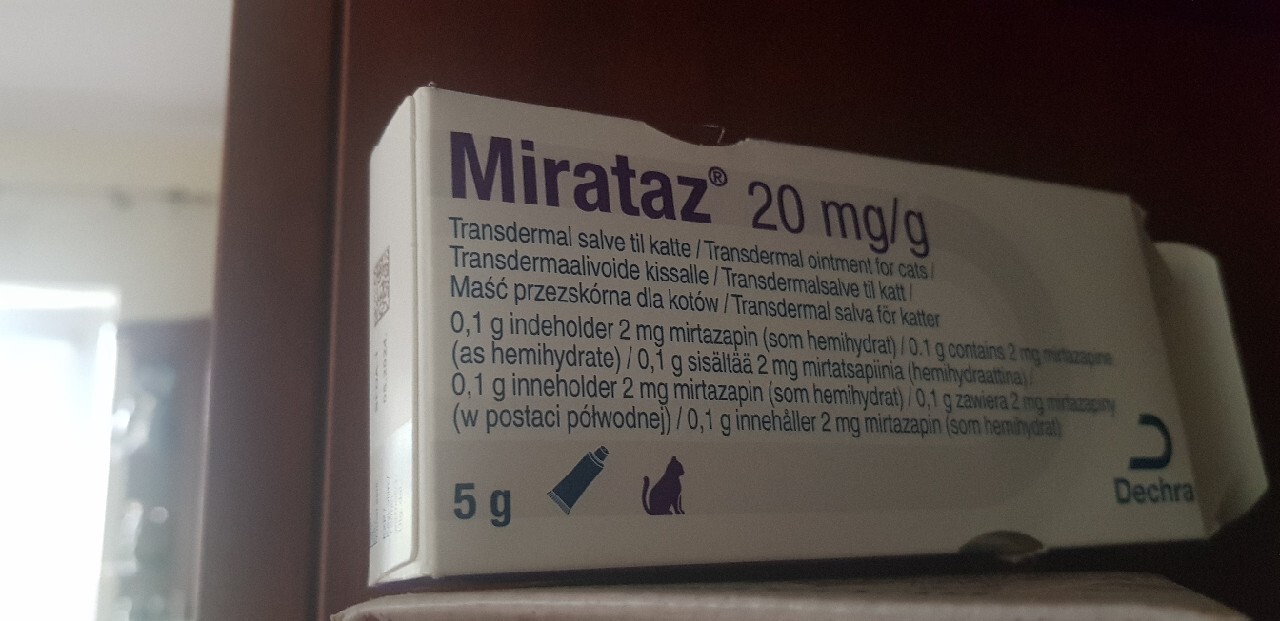 Mirataz dla kota na apetyt Mosty Ogłoszenie na Allegro Lokalnie