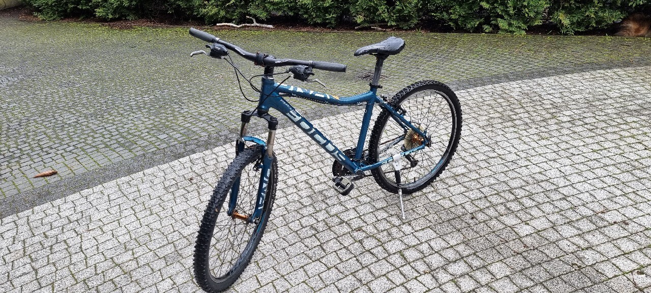 Rower Focus damski Leśna Kup teraz na Allegro Lokalnie