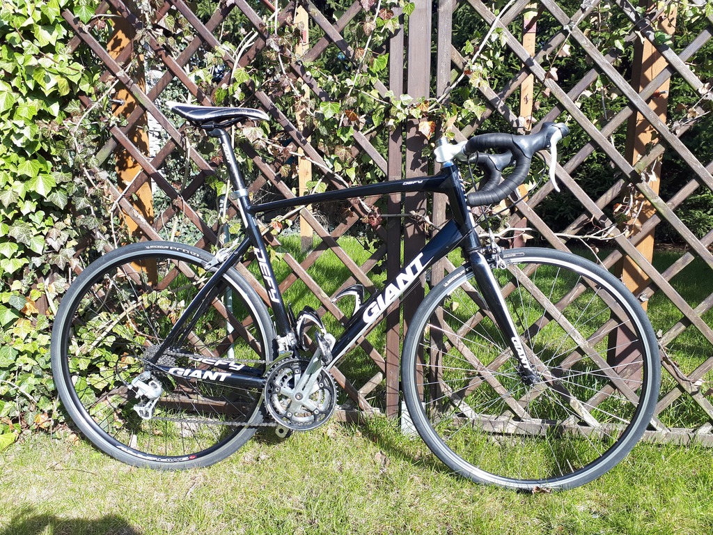 giant defy cena