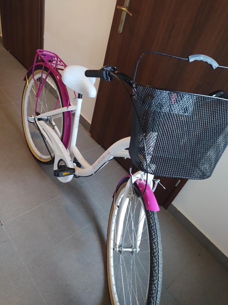 Damski Rower miejski Goetze BLUEBERRY 28 3b kosz Radom Kup teraz na
