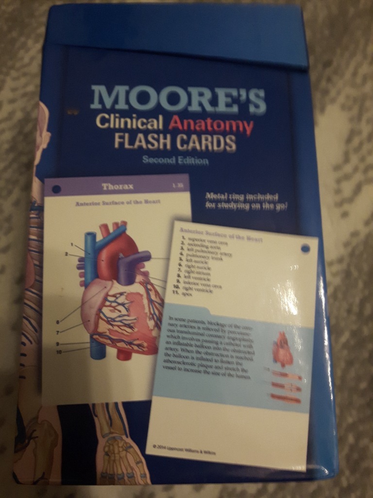 Moore's Clinically Oriented Anatomy Flash Cards Warszawa Kup teraz