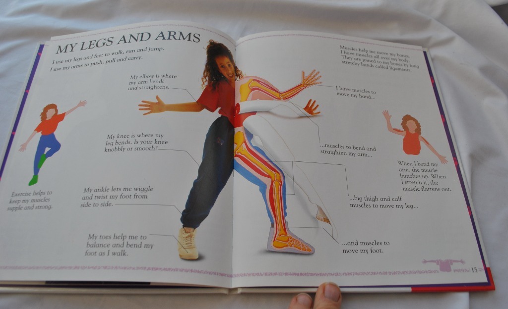 WHAT'S INSIDE? MY BODY SCHOLASTIC angielski Warszawa Kup teraz na